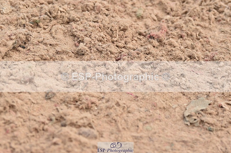 230611A-093538-04544 - Cls 31 British Novice & Open