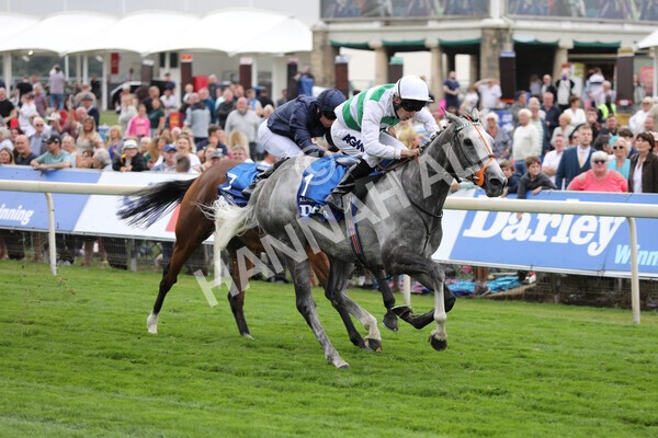 yr18082022r4-32 - Race 4 3.35pm Darley Yorkshire Oaks (British Champions Series Race)