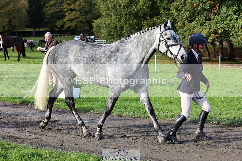 251026A-100409-22712 - D-314-Alice.Tollworthy