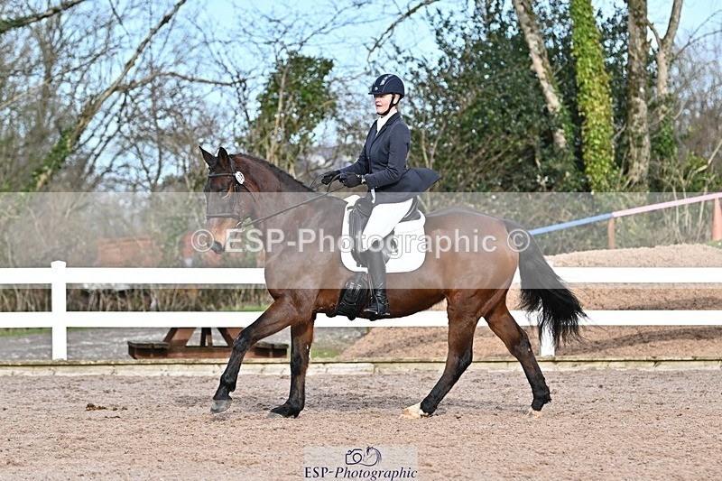 250125-124642-00483 - Dressage - CT Class 6 BE102
