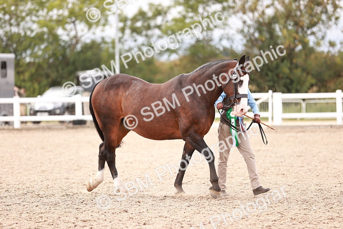 SBM_18420 - Class 418 - Best Condition - Jnr