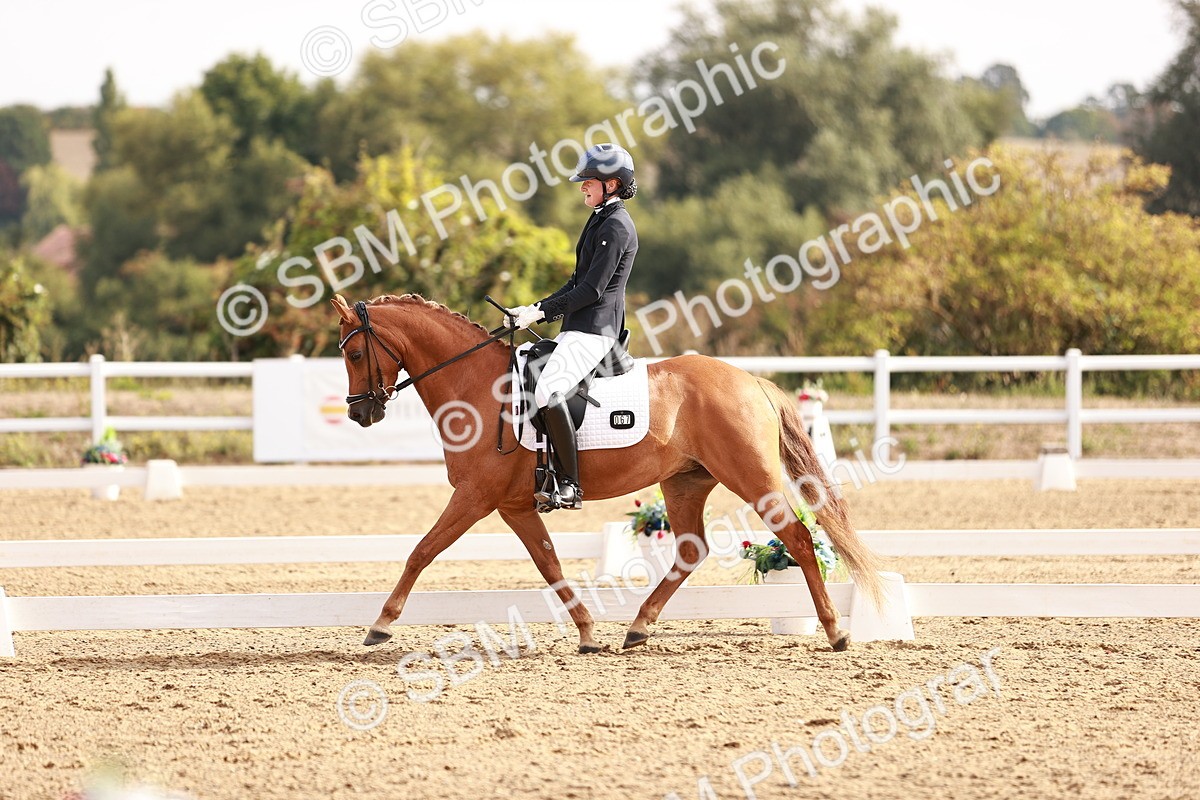 SBM_016918 - Class 10 - Medium 6