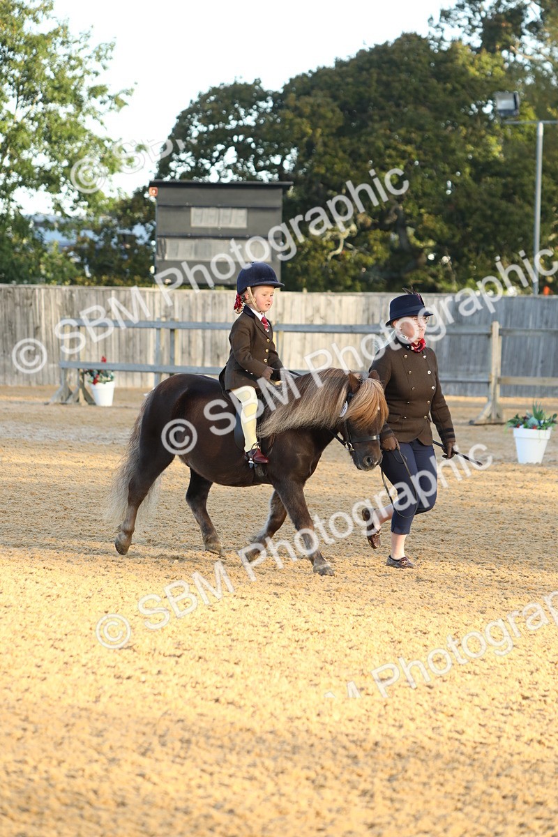 SBM_33524 - D26 - Starers - Lead Rein