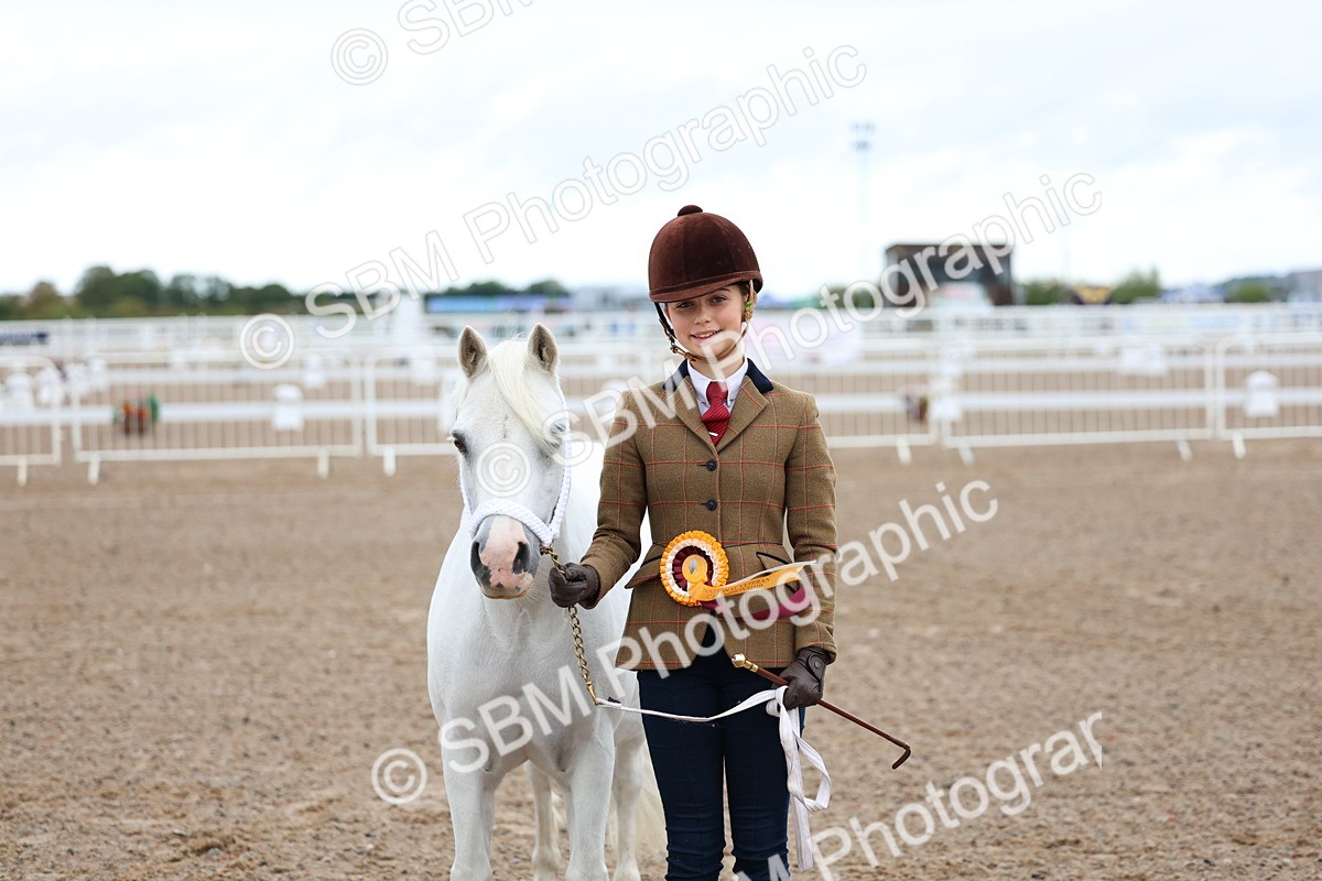 SBM_00270 - Class 13 - Young Handler
