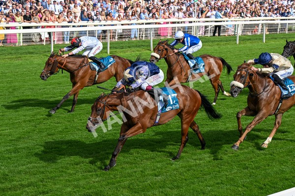 280625-Race 6-Dream Out Loud-0568 - Race 6 4.50pm Al Basti Equiworld Dubai Sprint Handicap