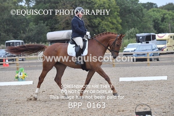 BPP_0163 - NOVICE 4 & 6