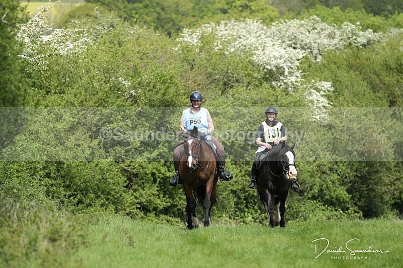 SPXX4800 - P50