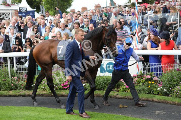 yr17082022r4-20 - Race 4 3.35pm Juddmonte International Stakes (British Champions Series Race)