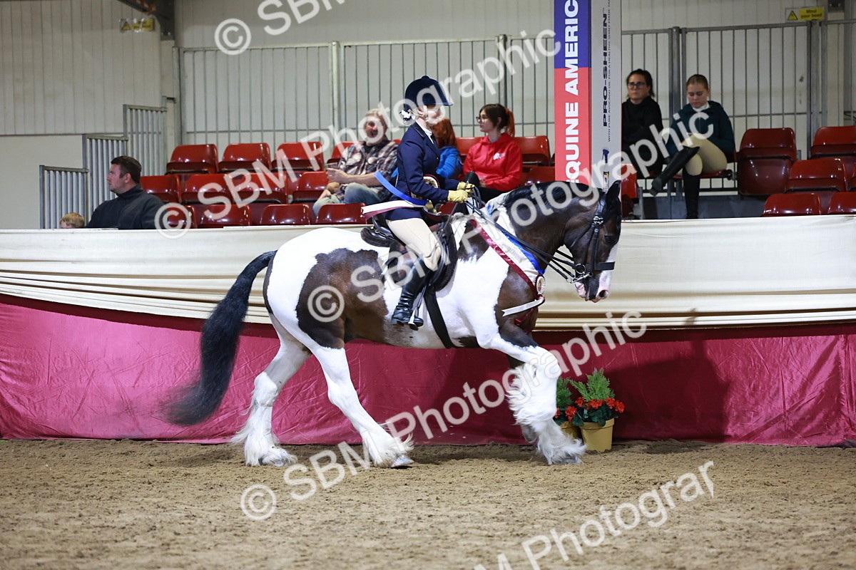 SBM_21309 - Class S - Style & Performance Champ