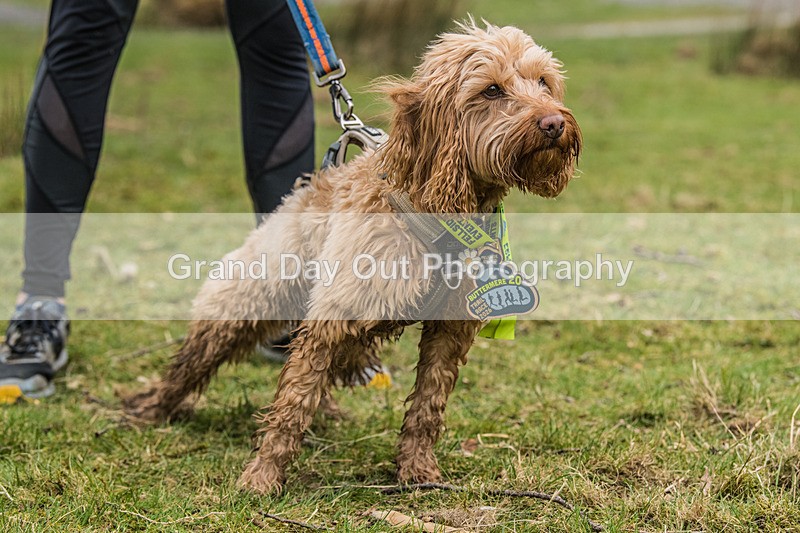 Buttermere-1678 - Fellside Events Buttermere Trail Race Sunday 22nd March 2026