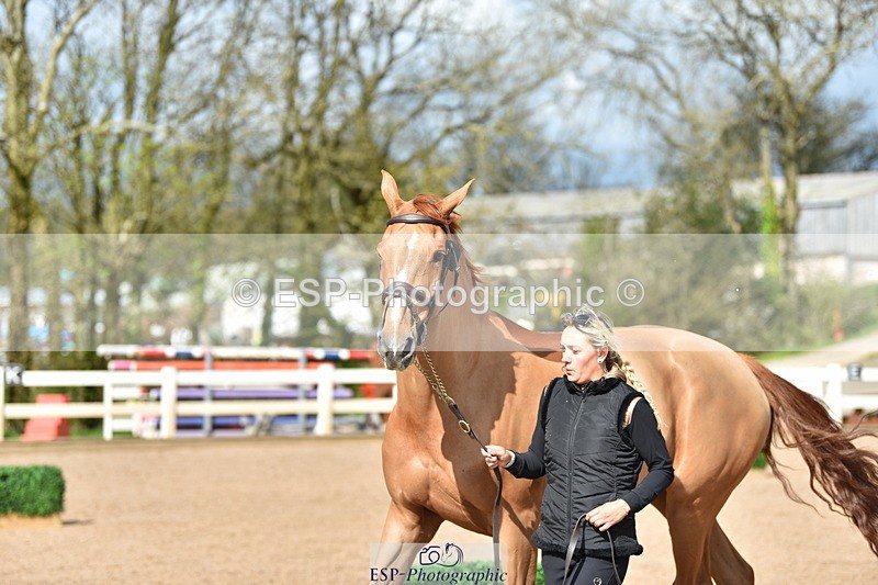 240417A-155856-01053 - 3pm to 4pm