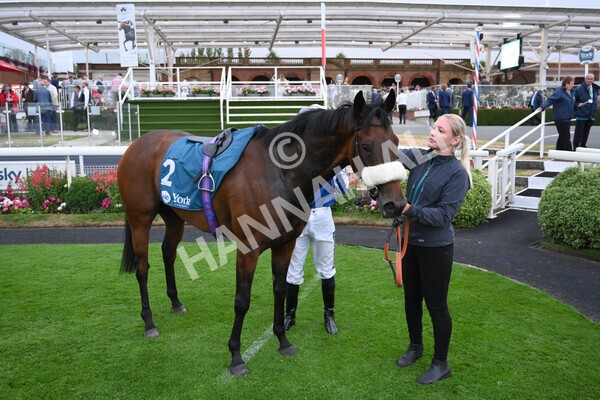 yr22072022r7-46 - Race 7 8.25pm The Sky Bet Go-Racing-In-Yorkshire Summer Festival Stakes