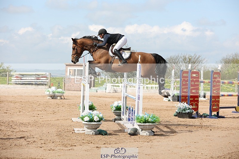 250427-111017-15838 - Cls 36 Young Horse 7yr old