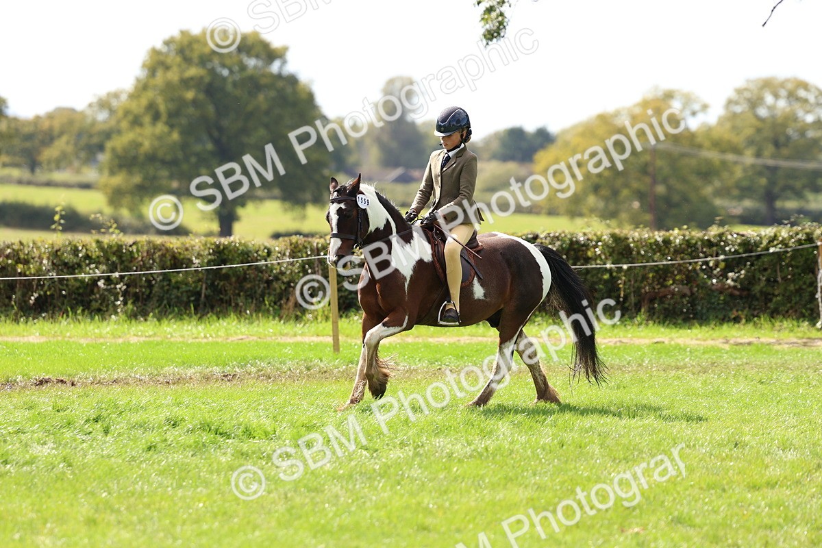 SBM_45243 - S27 - Young Veteran Ridden