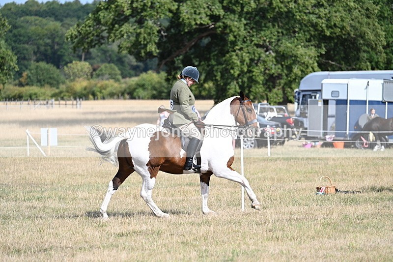 WJ7_7443 - Class 14 Ridden Coloured