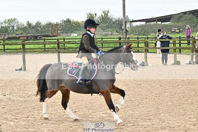 241110-102836-00313 - 40cm Showjumping
