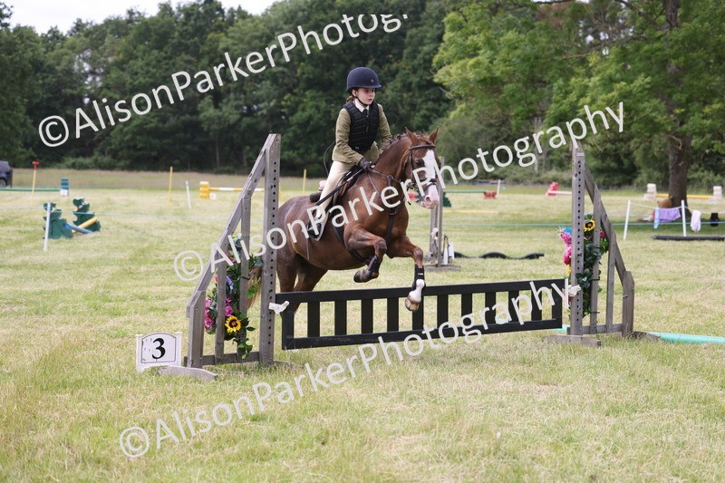 20260614-3002 - Class 22 - Open Working Hunter