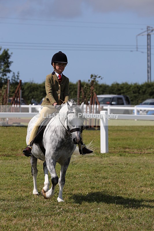 1X9A5378 - Class 37: NPS M&M First Ridden