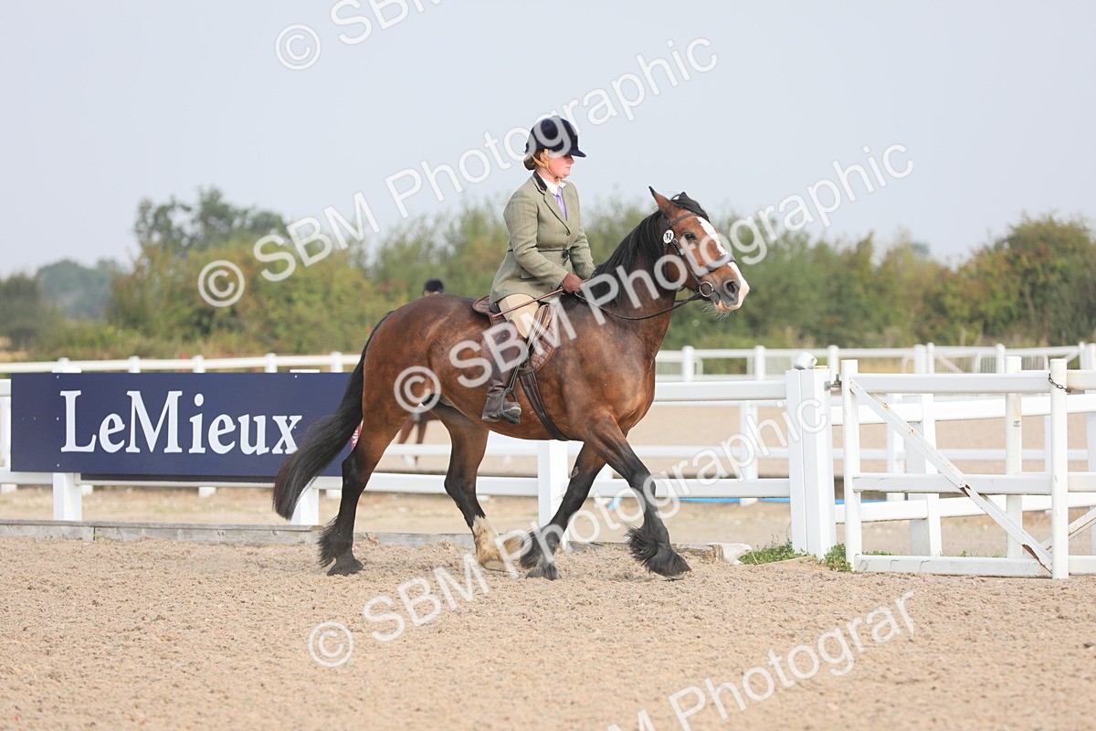 SBM_10872 - Class 304 Ridden Part Bred Horse/Pony
