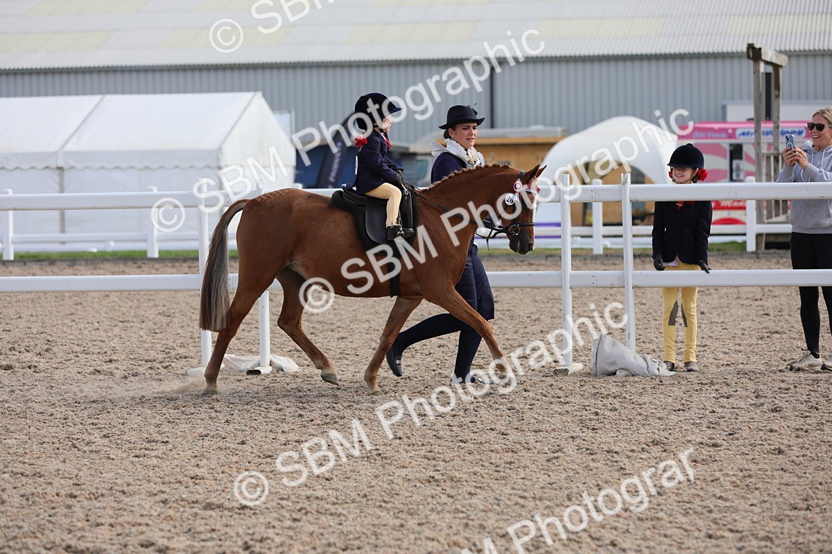 SBM_13974 - Class 309 Lead Rein Pony