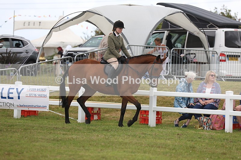 3E7A1387 - Class 9: Open Hunter