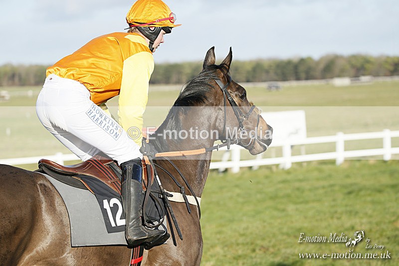 PtP 121220 298 - Avon Vale Races Larkhill 12/12/20