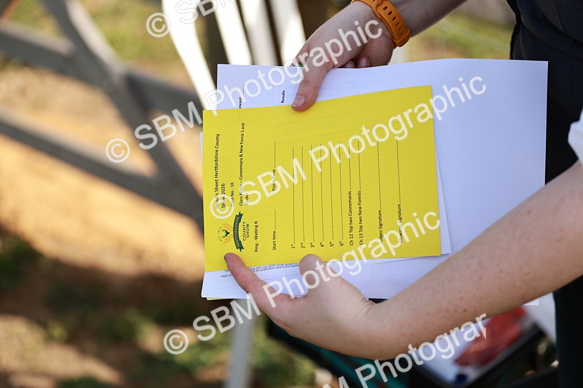 SBM_01619 - Class 14-23 - Mountain & Moorland In Hand Non Welsh