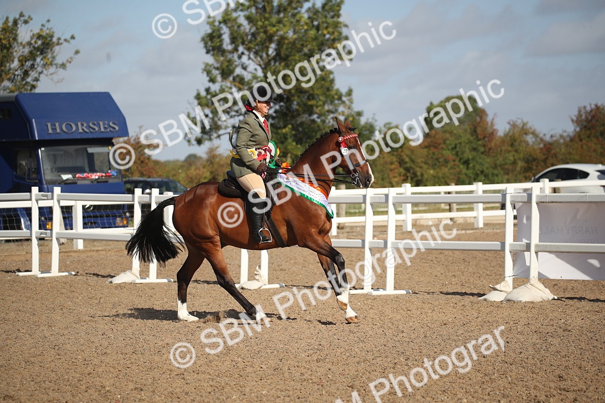 SBM_22748 - Class 601 - 2026 - Area - Ridden Diamond