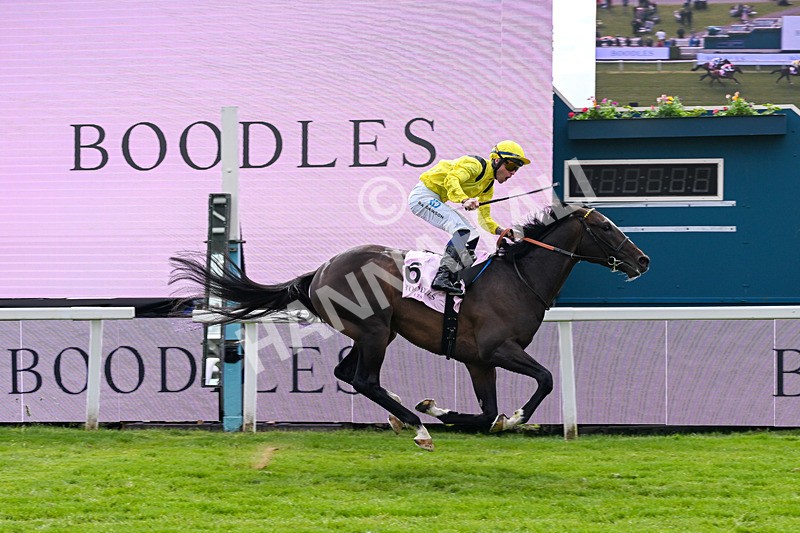 150526-Race 5-Rahiebb-8143 - Race 5 4.05pm Boodles Yorkshire Cup Stakes