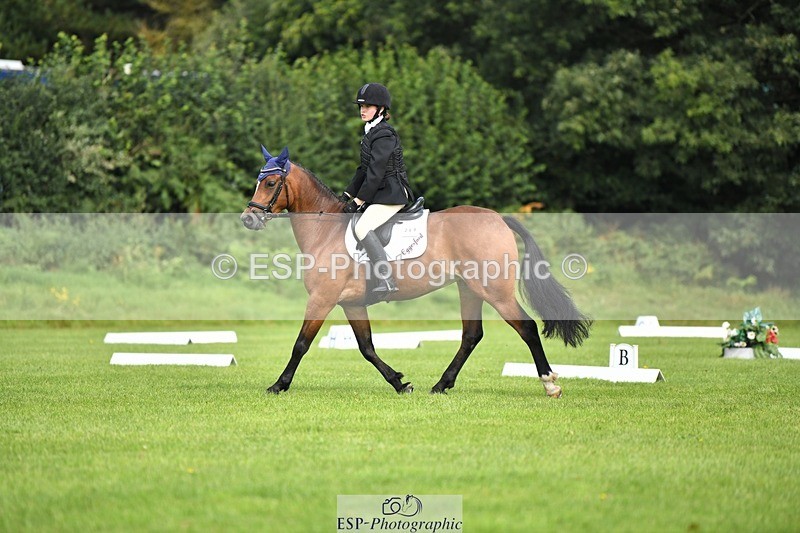 230826-103329-15509 - Sections C & D 10 to End