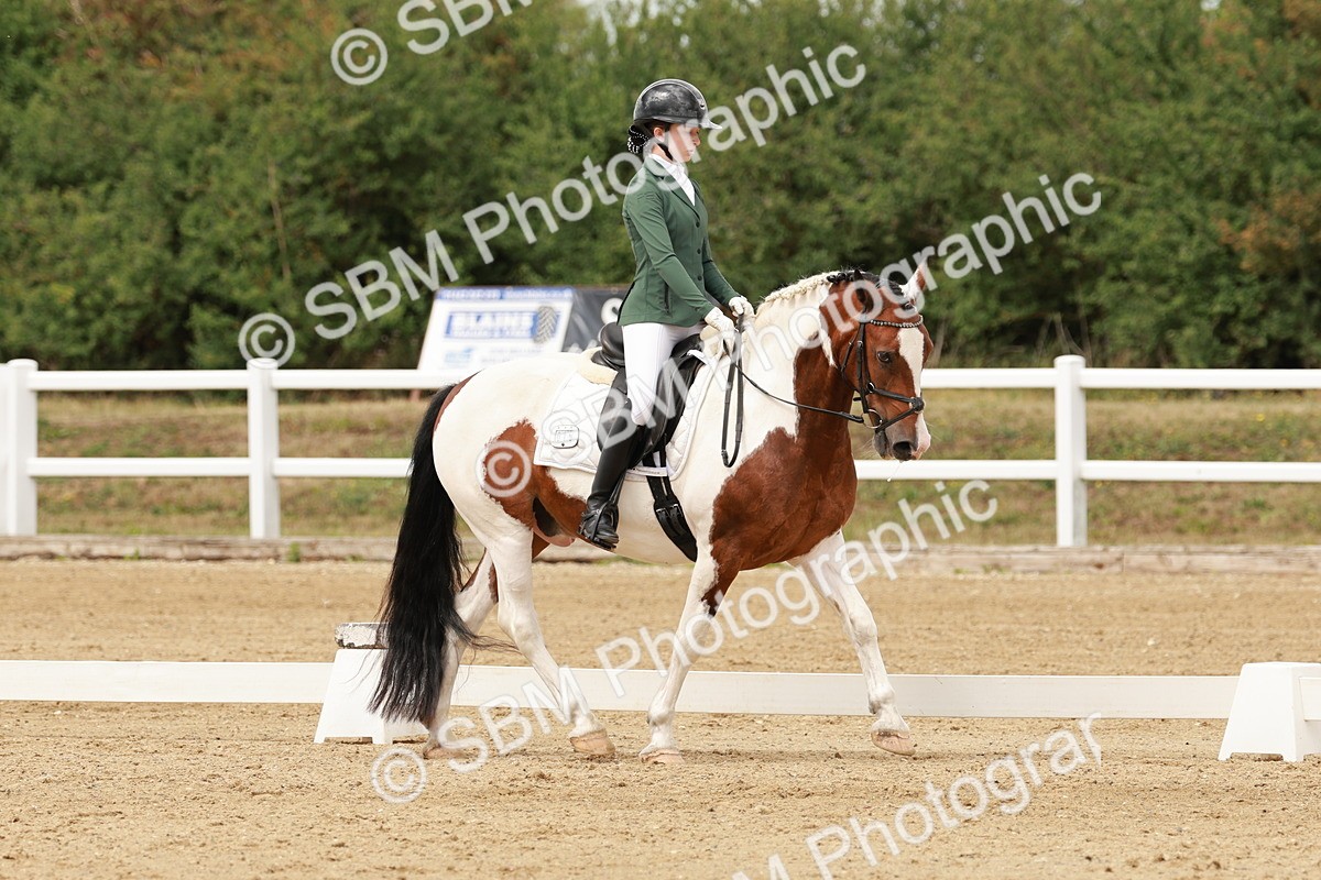 SBM_001966 - Class 8 - Elementary 6