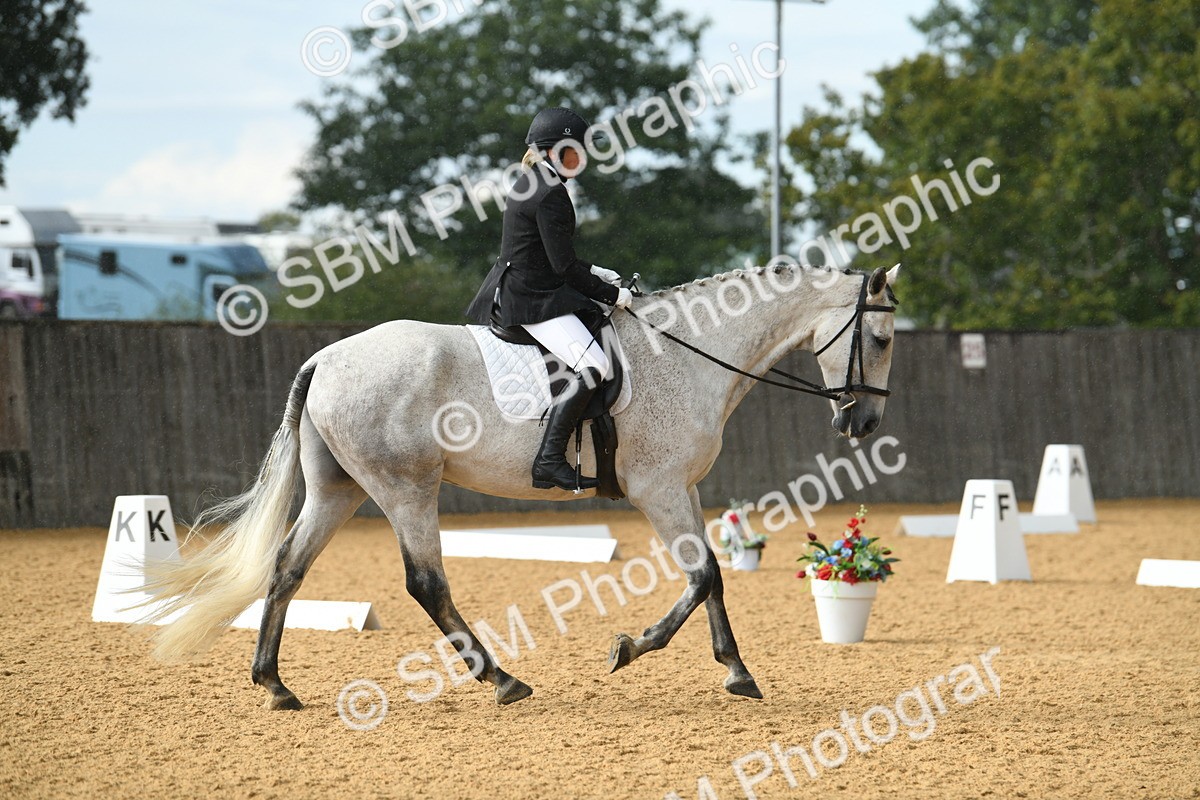 SBM_11172 - D28 Elementary Taster Elementary 42