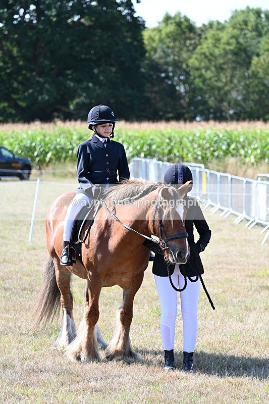 WJ7_3176 - Class 8 Ridden Tack & Turnout