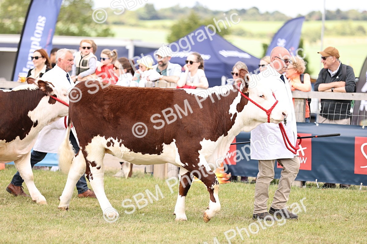 SBM_16875 - Grand Parade
