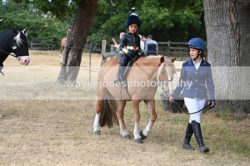 WJ6_8885 - Class 11 Fancy Dress