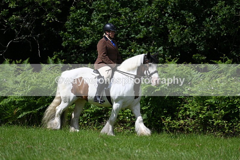 WJ7_1518 - Class 11 Condition & Turnout