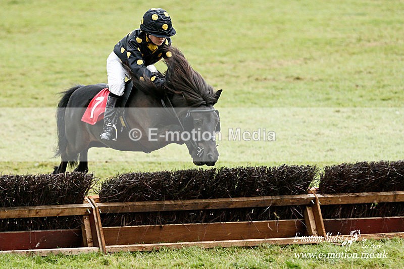 _LES4811a - Equestrian