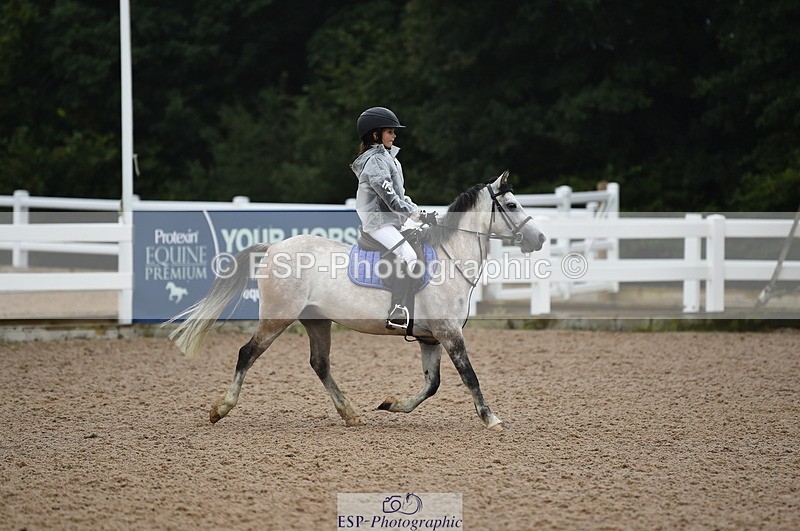 220829A-152744-00055 - Clear Round & 60cm  1a - 1b