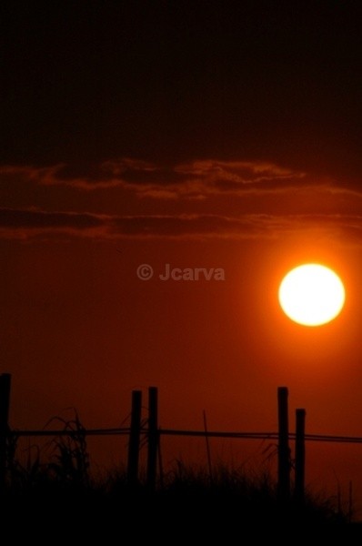 Fenced Sunset - Sunsets