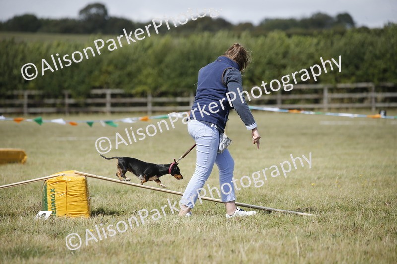 20250831-3834 - Dog Show