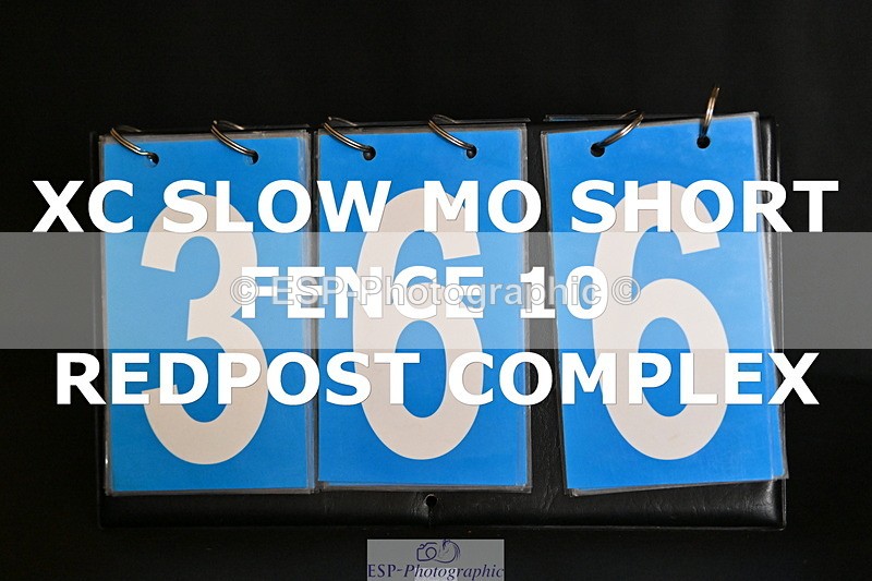 ESP_366 - D-366-Blythe.Jopling