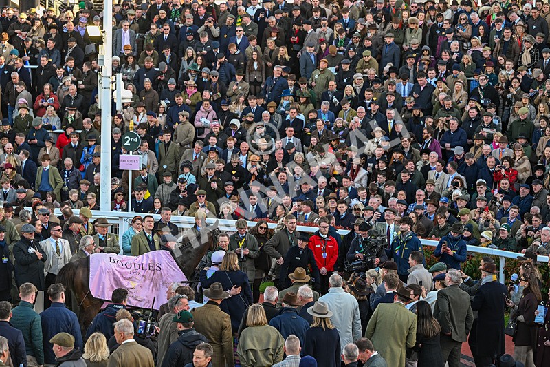 130326-Race 5-Gaelic Warrior-2916 - 13th March