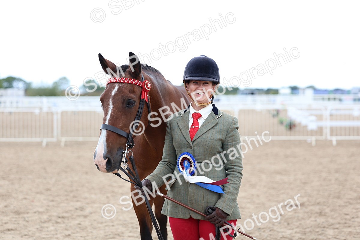 SBM_05140 - Class 27 - IH Competition Horse or Pony