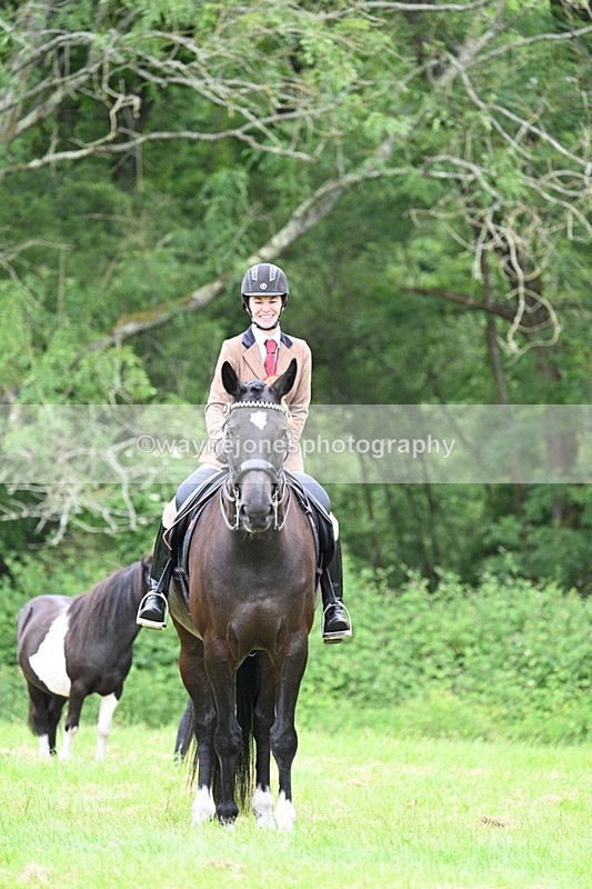 WJ7_4217 - Class 14A Handsome Gelding