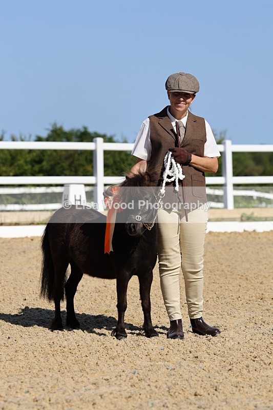 1X9A0711 - Class 3: Youngstock 1, 2, 3 year old not to exceed 153cm