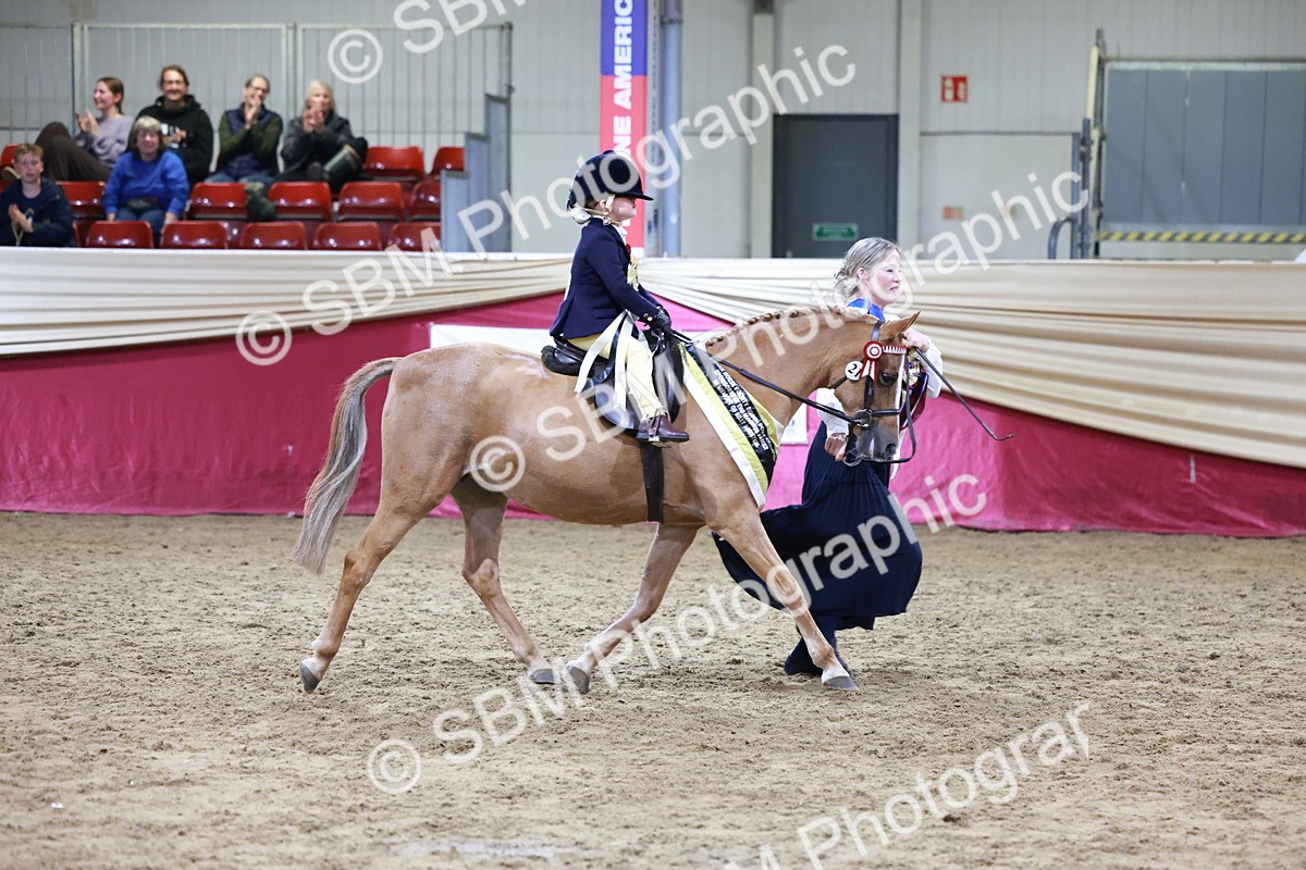 SBM_20605 - Class H - IH Competition - Riding Club champ