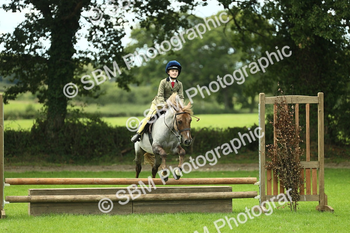 SBM_42775 - S30 - M&M Working hunter Pony