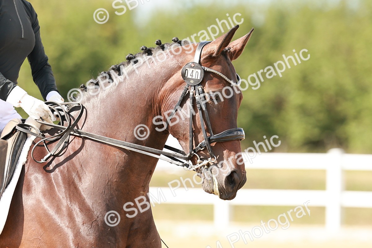 SBM_002463 - Class 11 - Medium 6