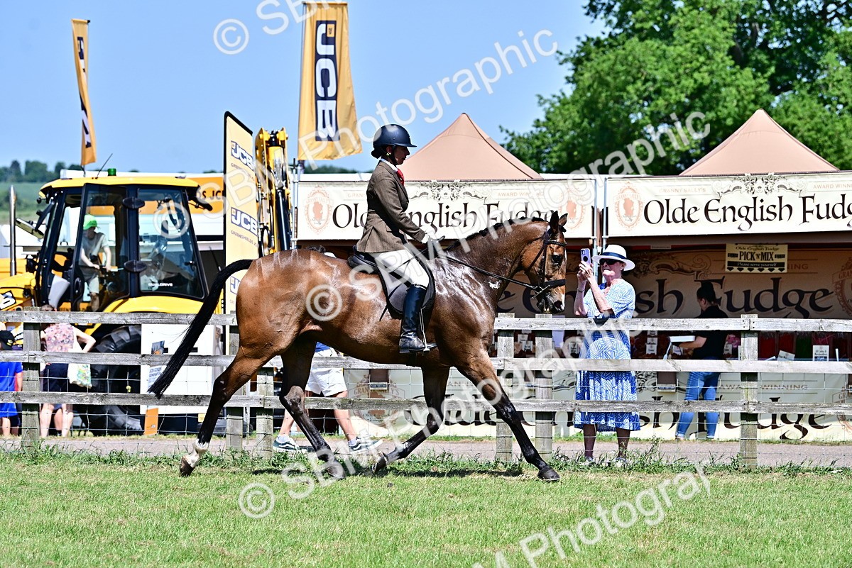 SBM_18130 - Class 99-100 - Retraining of Racehorses Ridden