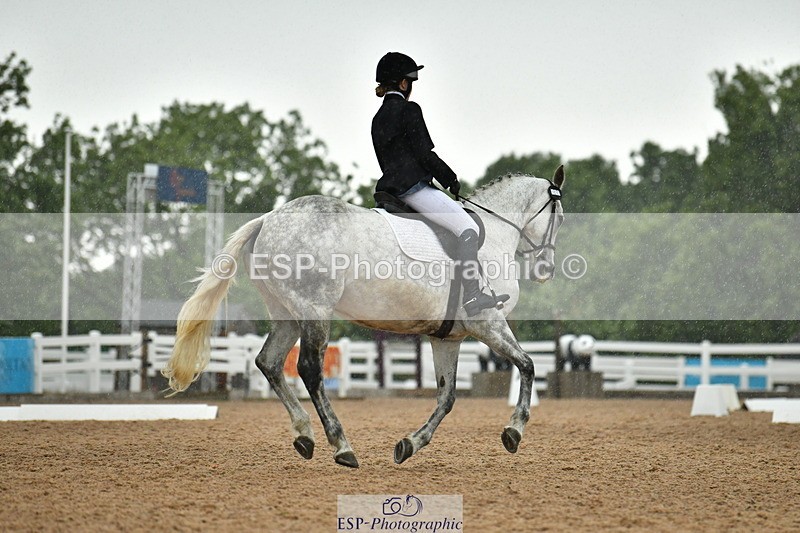 230708A-122829-02799 - Prelim 13